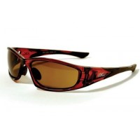 FB-Eye Crystal Brown Frame/ Brown Lenses